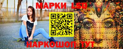 СК Краснодар