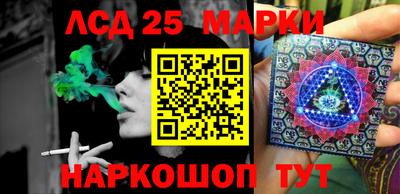 СК Краснодар