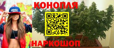 СК Краснодар