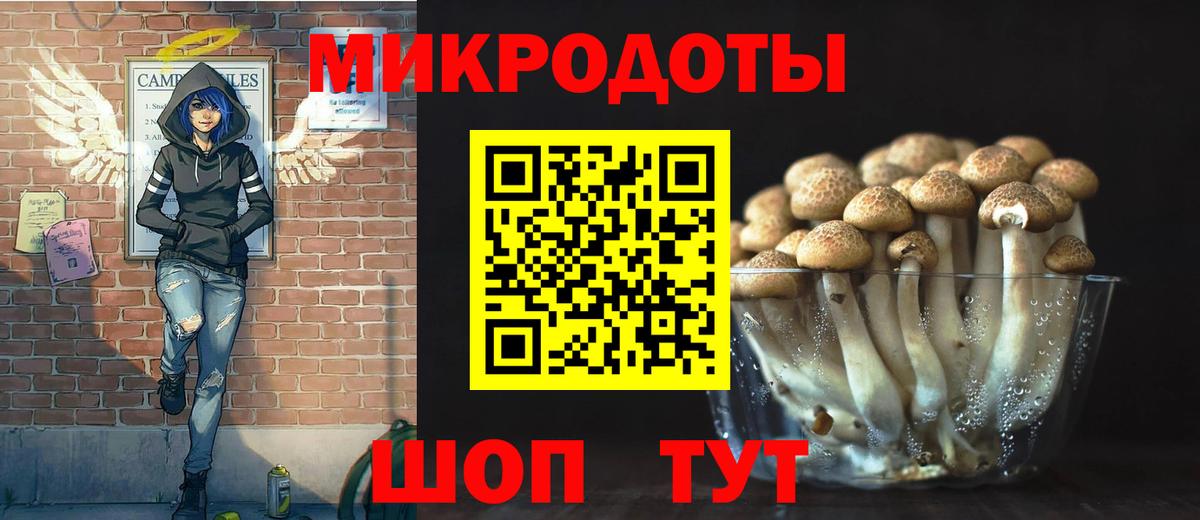 Галлюциногенные грибы Psilocybe  Вход с VPN  Галлюциногенные грибы Psilocybine cubensis  Коряжма 